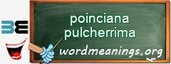 WordMeaning blackboard for poinciana pulcherrima